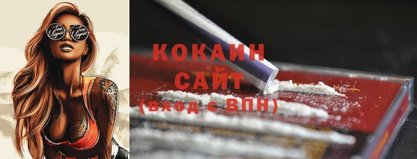 крисы Медвежьегорск