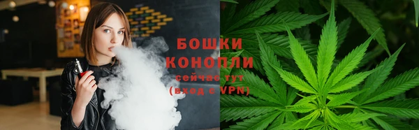 винт Мегион