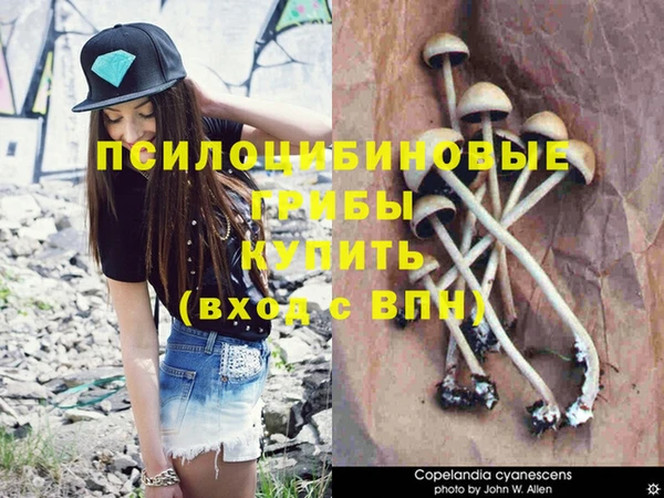 ALPHA PVP Медногорск