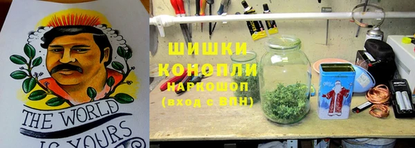 винт Мегион